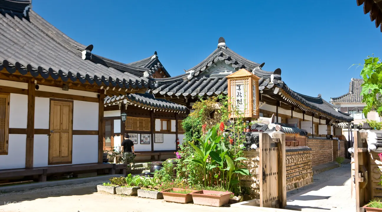 雞龍山賞櫻& 全州韓屋村