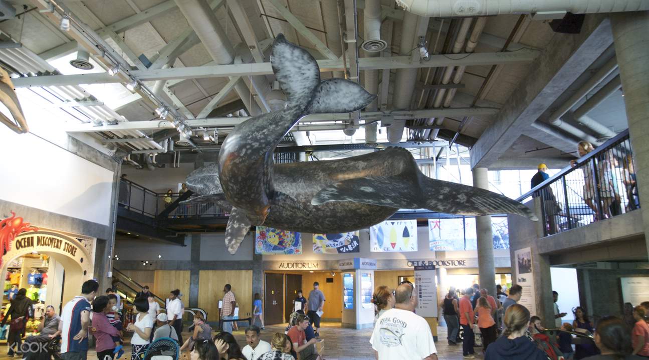 Monterey Bay Aquarium Admission Ticket San Francisco, USA
