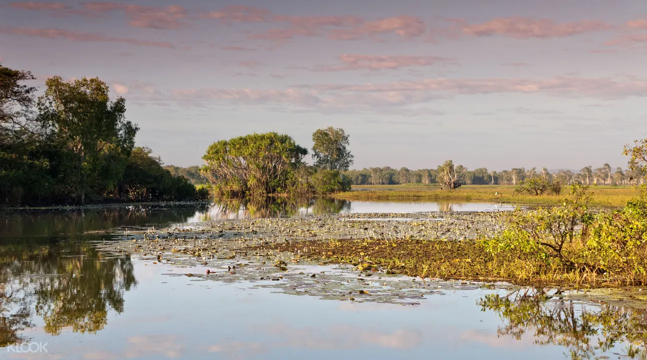 澳大利亞達爾文卡卡杜國家公園+ 瑪麗河濕地生態一日遊（含卡卡杜國家 ...