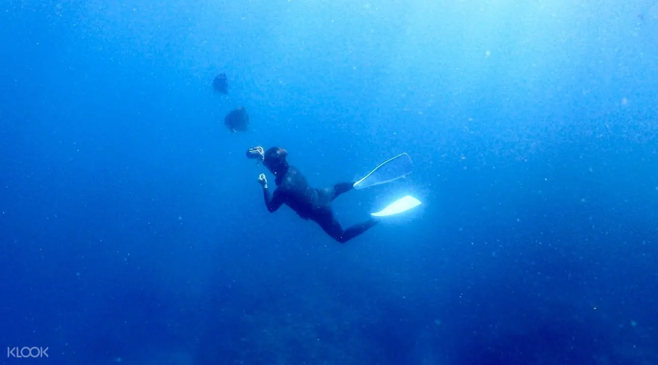 世界第二危險的極限運動 自由潛水 不是美人魚的化身 就別輕易嘗試 Klook部落格