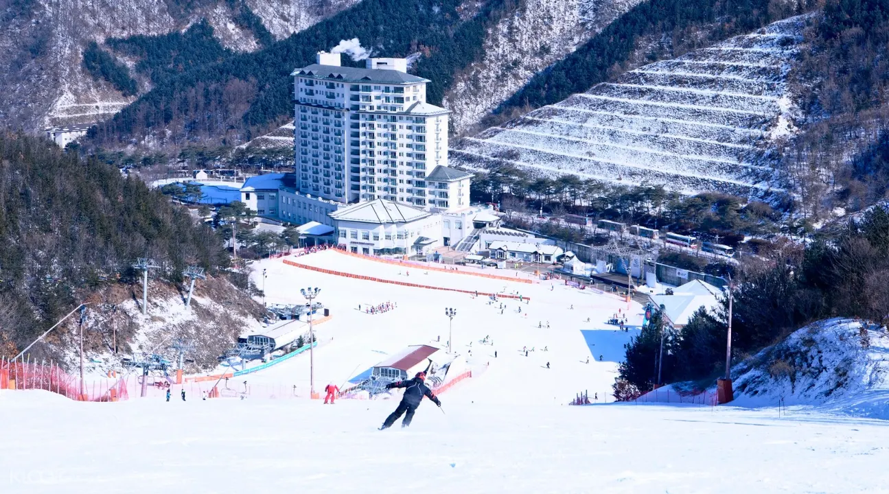 Elysian伊利希安江村滑雪場一日遊