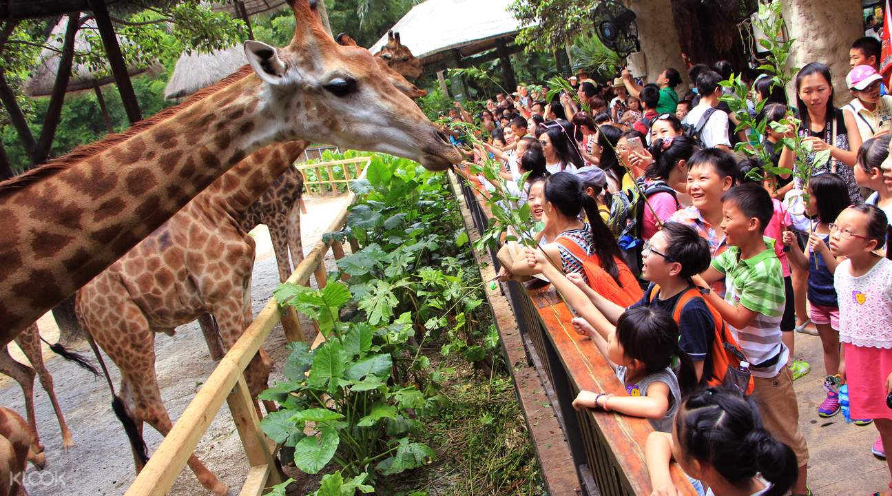 สวนสัตว์ซาฟารีฉางหลง