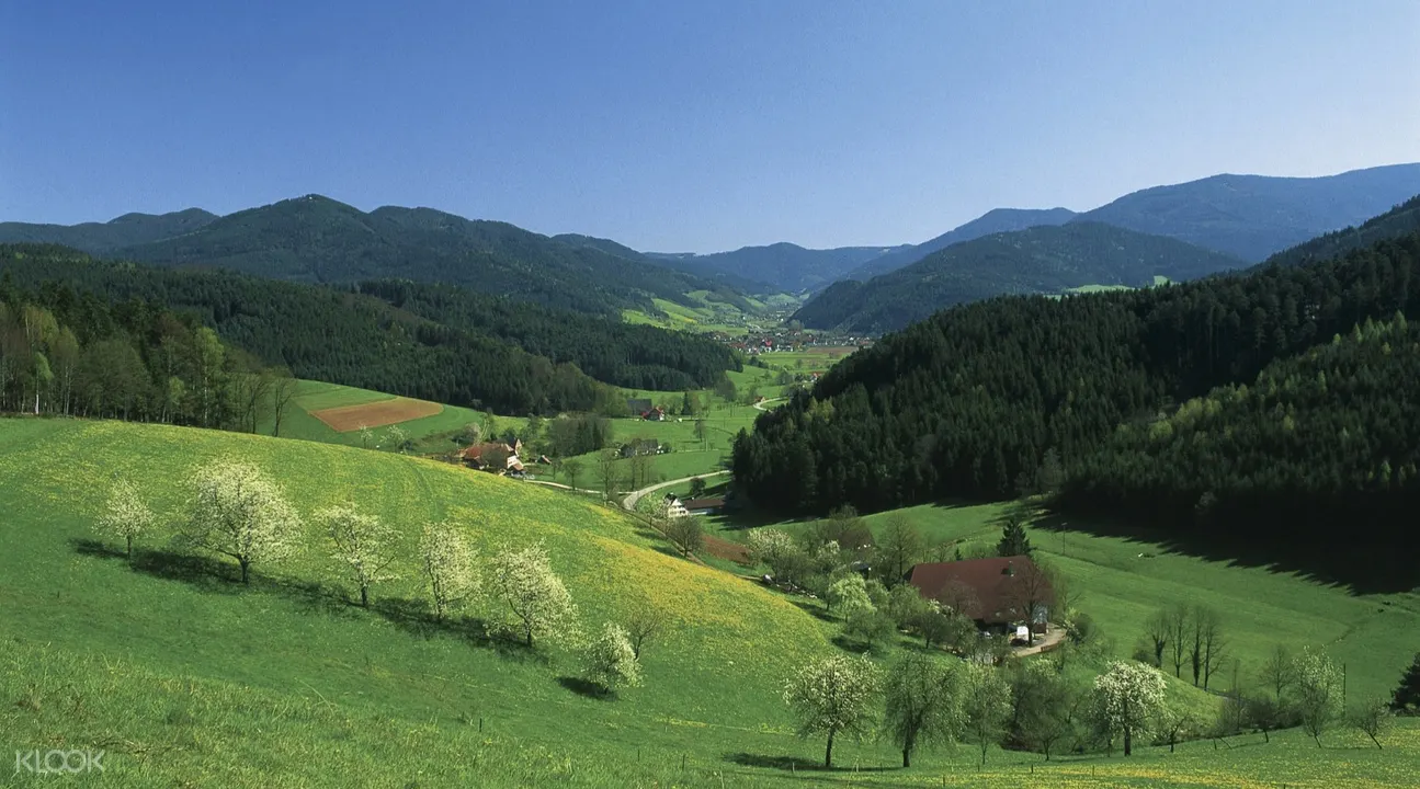 Black Forest Titisee Dan Rhine Falls Day Tour Dari Zurich