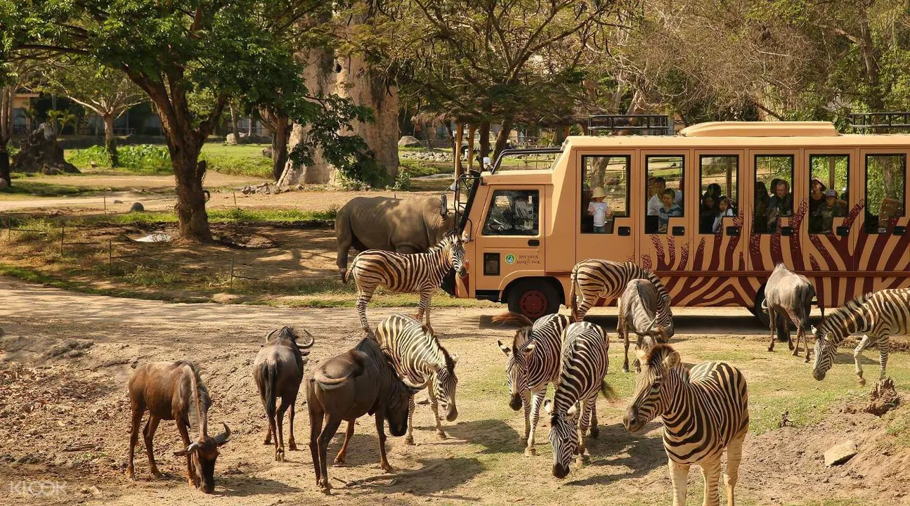 Bali Safari and Marine Park Tickets