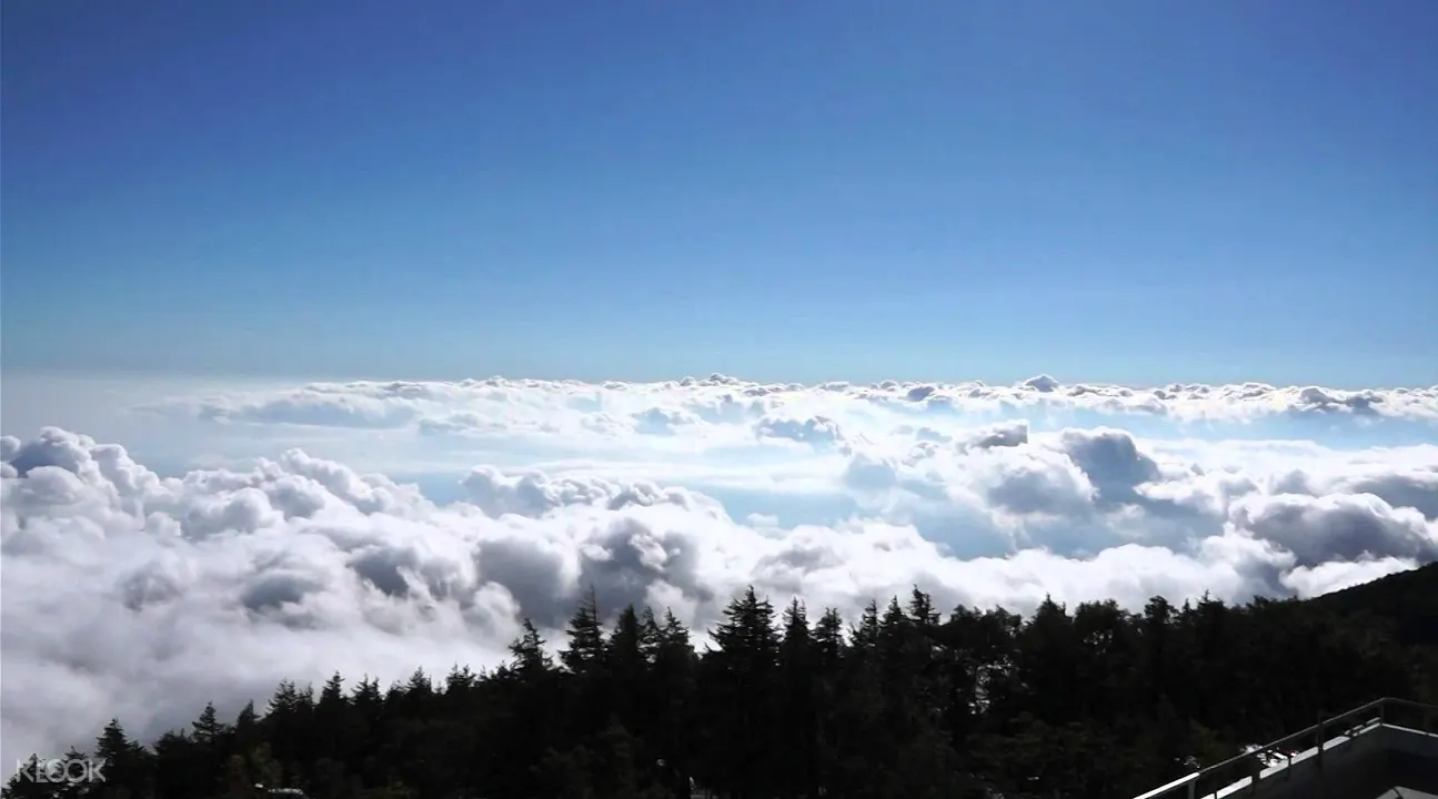 富士山五合目