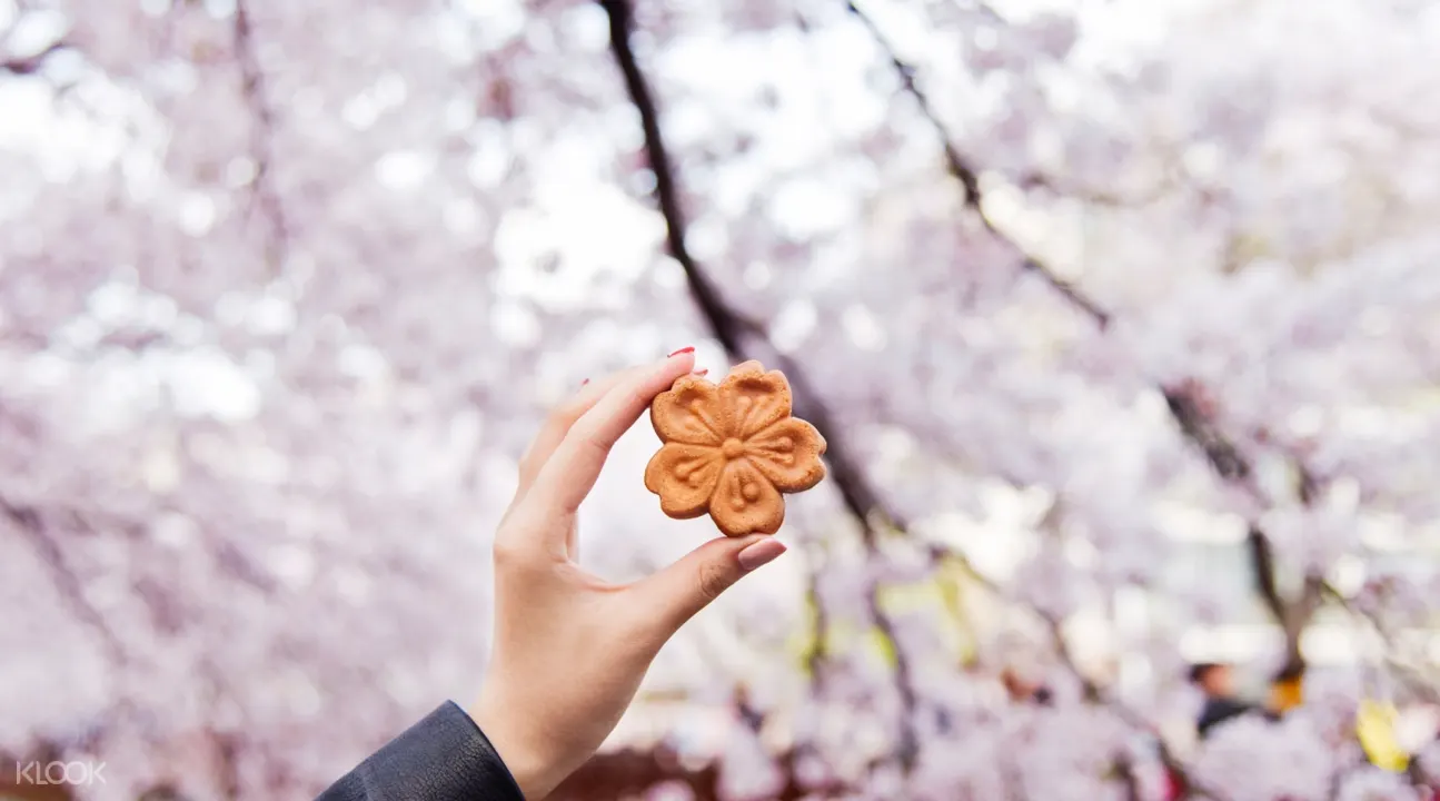 櫻花餅