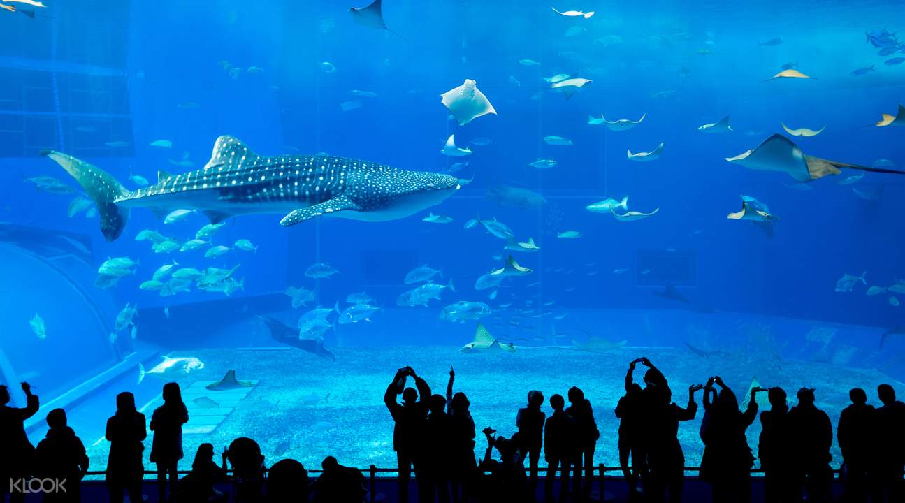 美麗海水族館