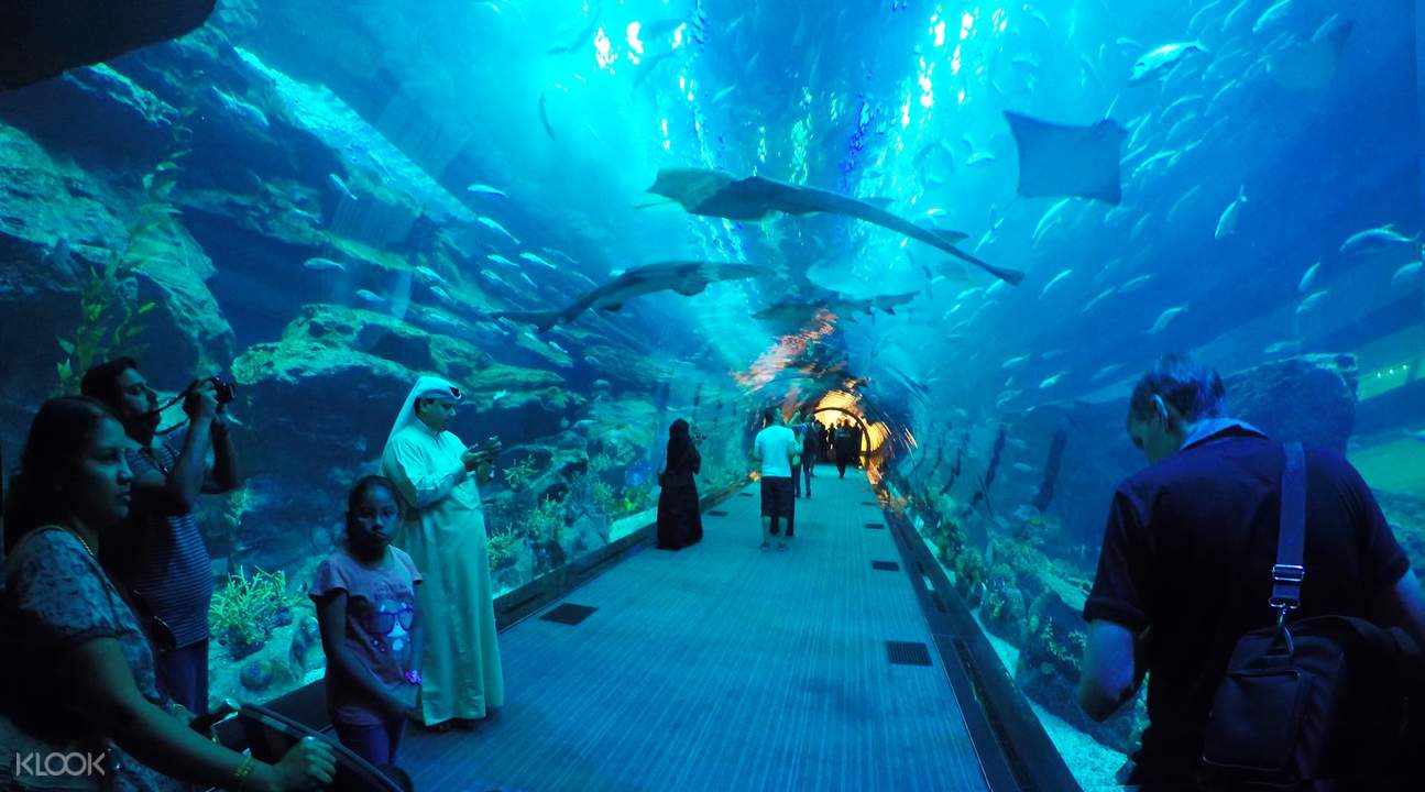 迪拜水族館門票