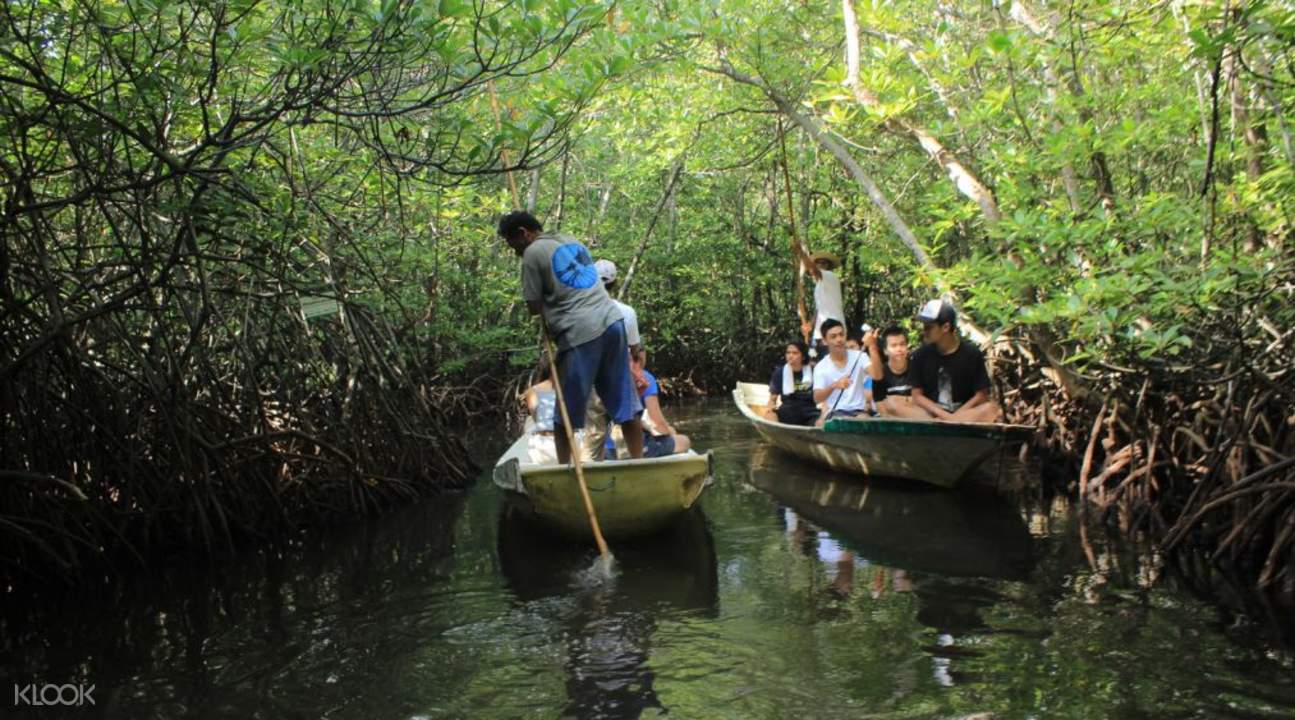mangrove snorkeling nusa lembongan