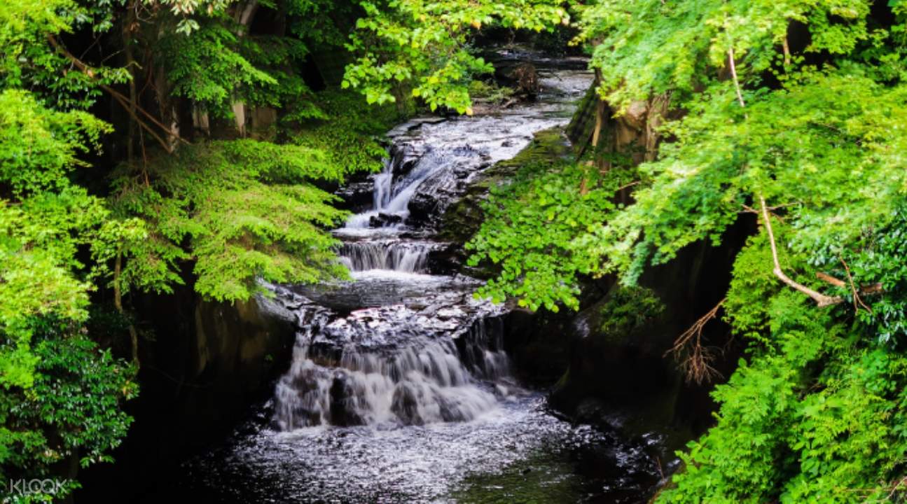 Food Picking And Sightseeing Trip In Boso Chiba From Tokyo Japan