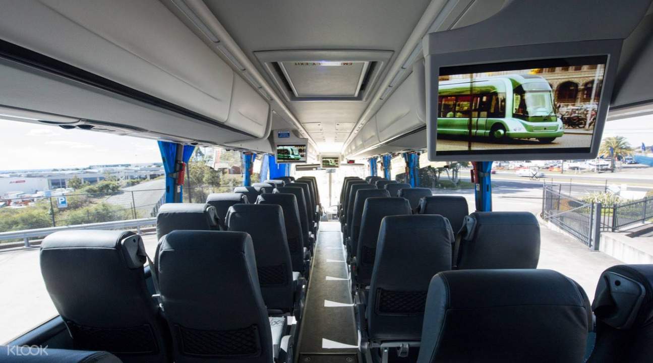 Shared Bus Transfers To Brisbane Gold Coast Noosa And Byron Bay