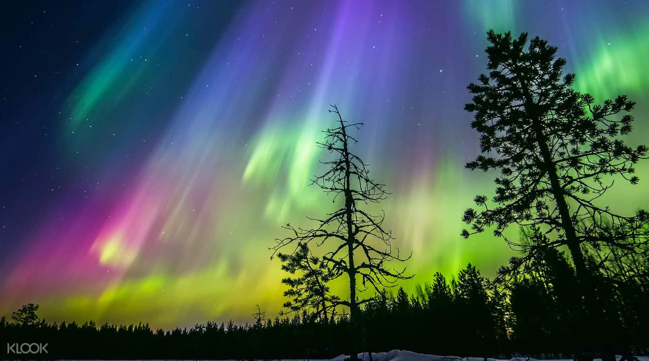 ice floating in forest lake and aurora borealis experience from