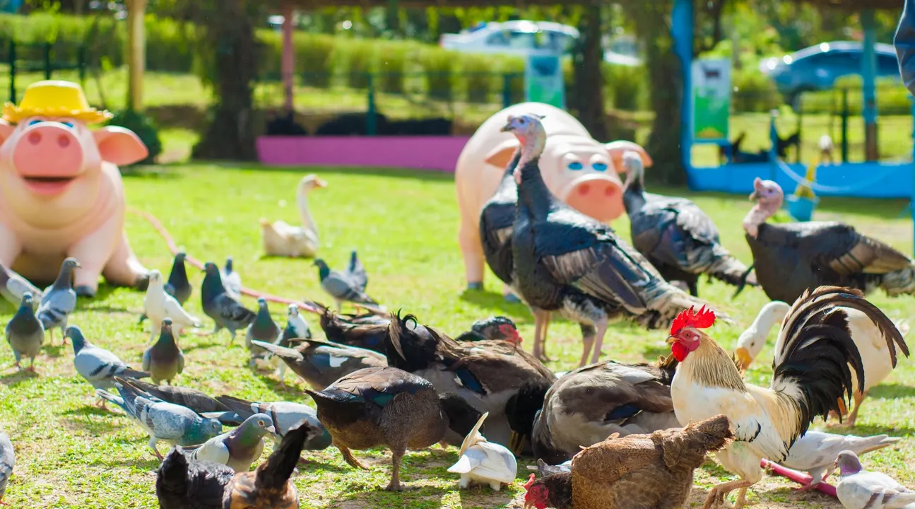 Up To 20 Off Paradizoo Admission Ticket In Tagaytay Philippines Klook Philippines