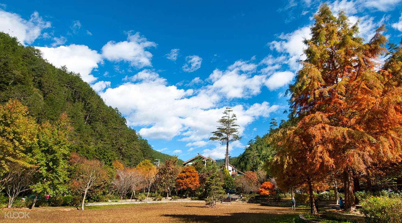 漫遊東勢林場與安妮公主花園