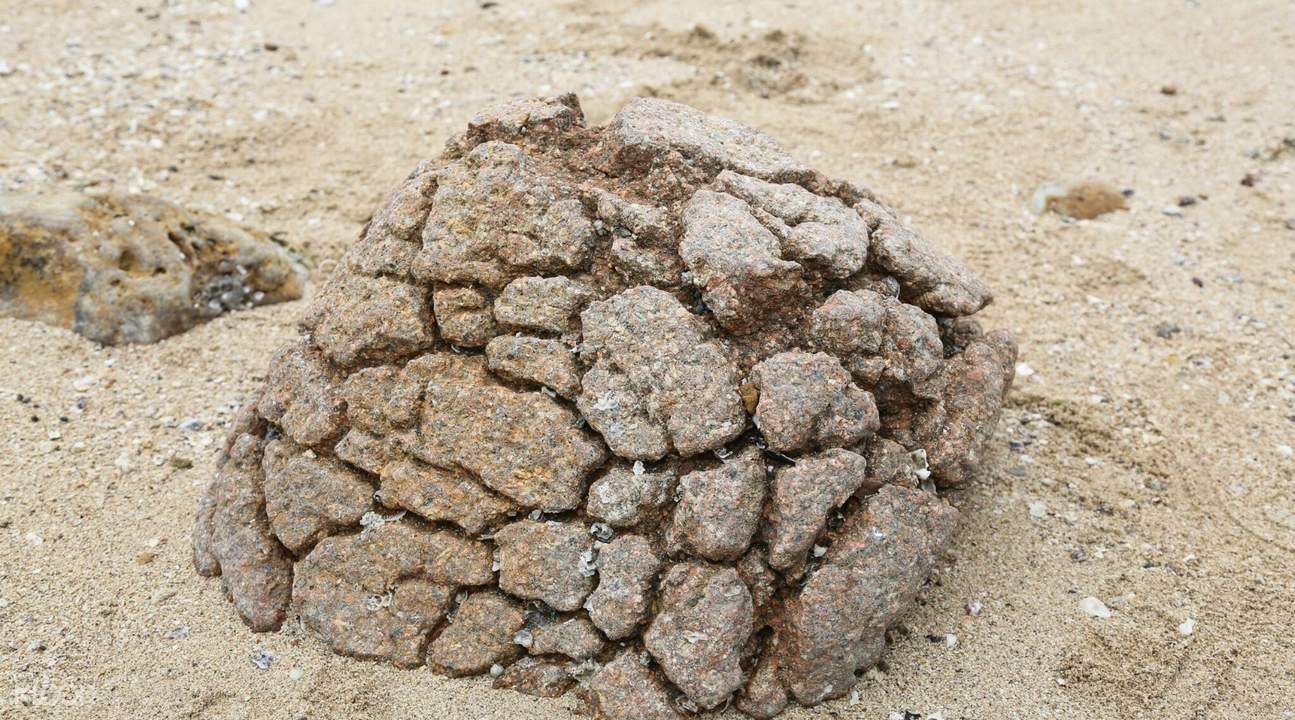 Sai Kung Volcanic Rock Region and Rock Academy Tour in Hong Kong