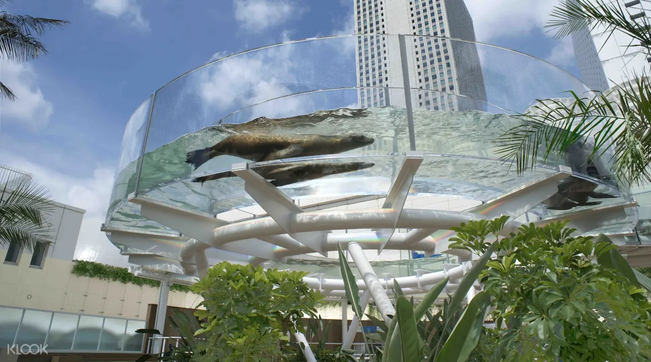 東京陽光水族館