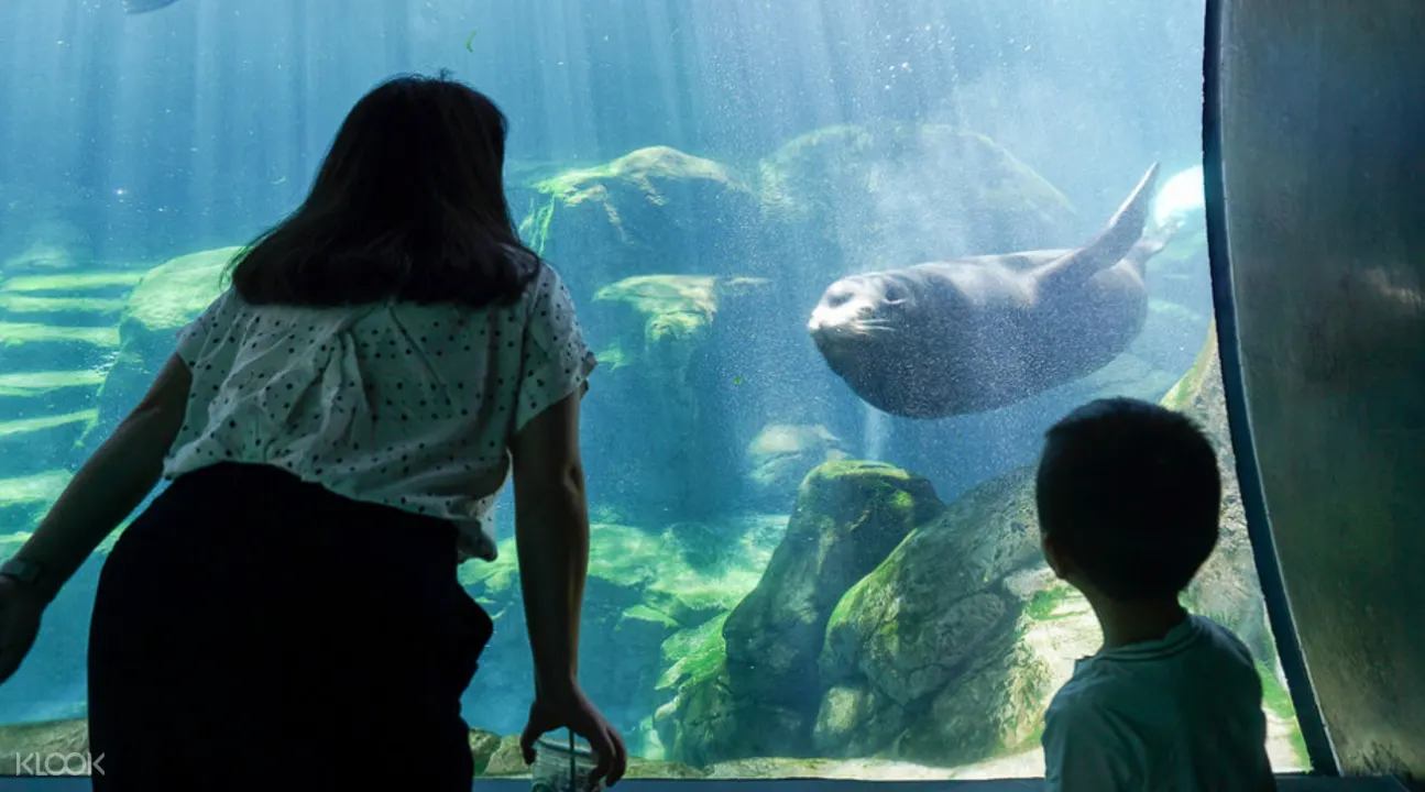 太平洋水族館門票