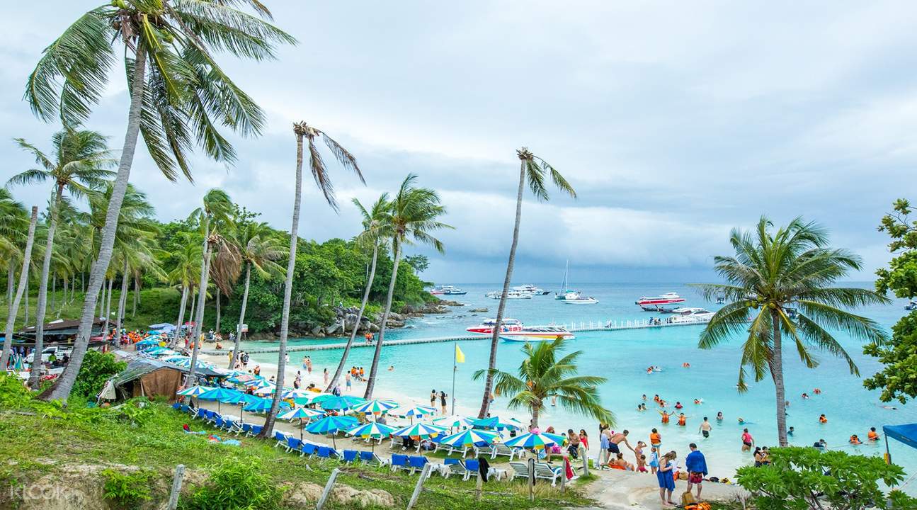 Sale Racha Yai Racha Noi Coral Or Maiton Island Day Tour From Phuket By Speedboat Catamaran Or Yacht - 