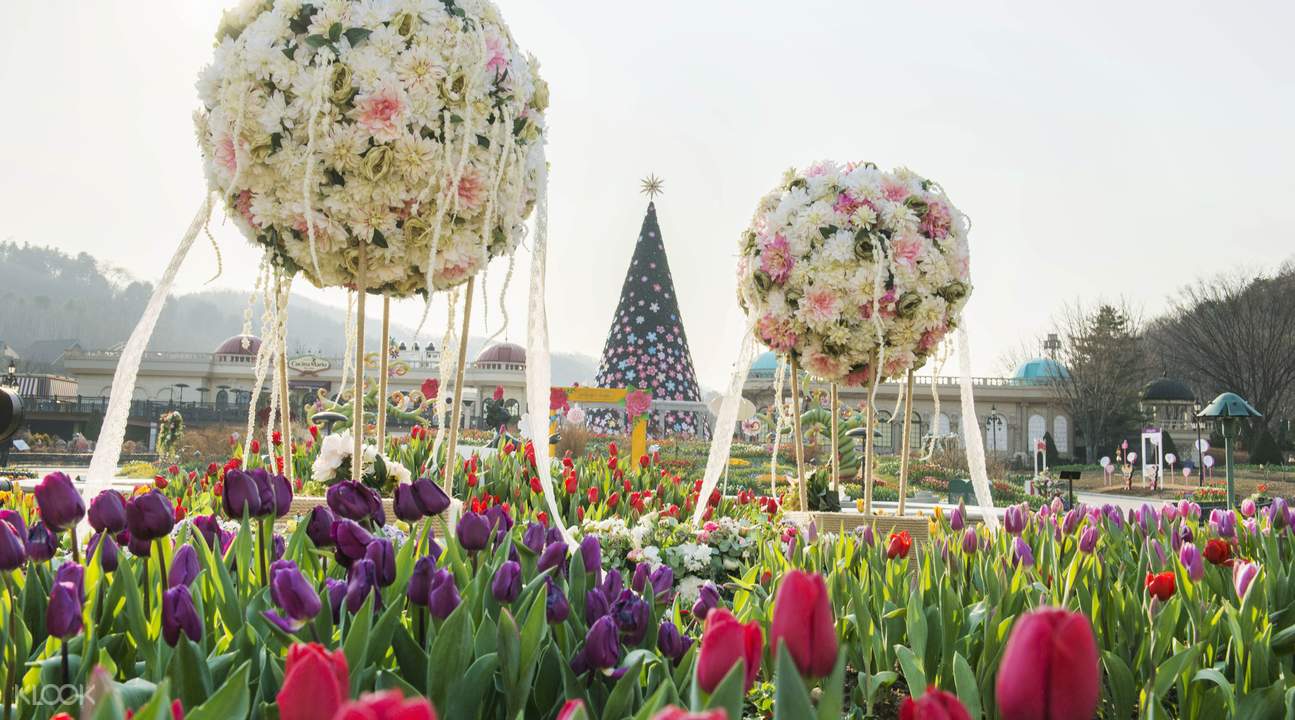 everland ile ilgili görsel sonucu