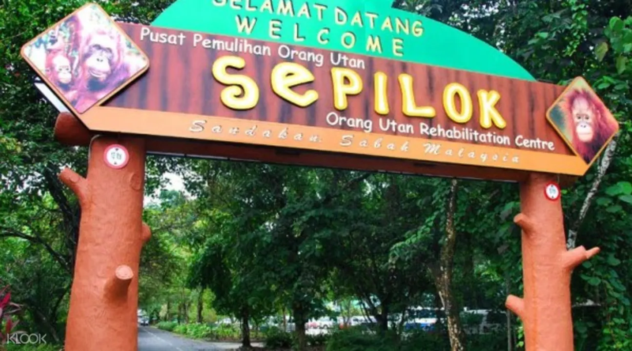 Sepilok Orangutan Rehabilitation Center Day Tour From Sandakan