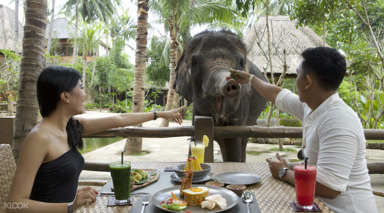 Tiket Lombok Wildlife Park Harga Domestik