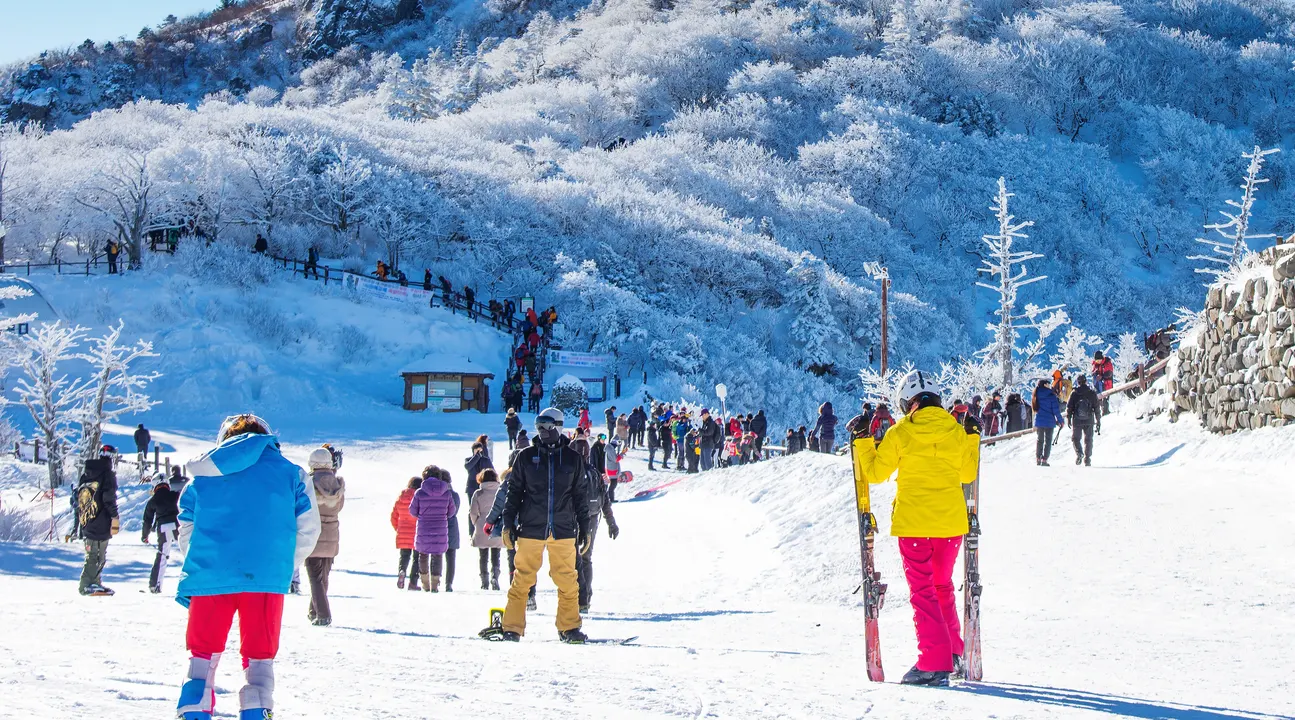 首爾至滑雪場專車接送