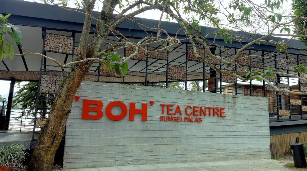 Up To 10 Off Cameron Highlands D Highlander Explorer Day Trip Klook Singapore