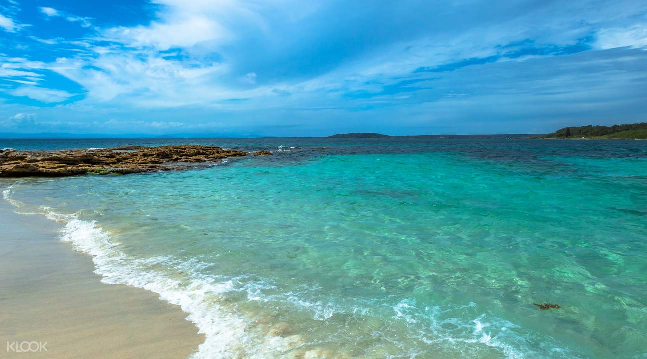 Jervis Bay Dolphin Cruise Klook Australia