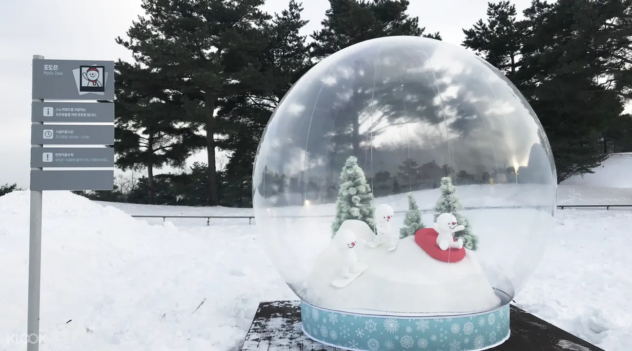 洪川大明Vivaldi Park冰雪王國一日通票& 往返巴士（Wondertrip）
