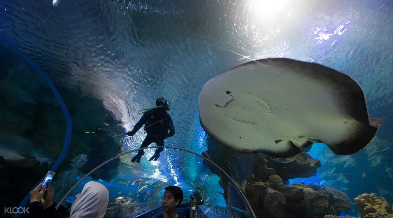 Aquaria Klcc Ticket In Kuala Lumpur Klook Malaysia
