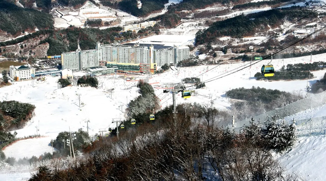 維利希利度假村滑雪