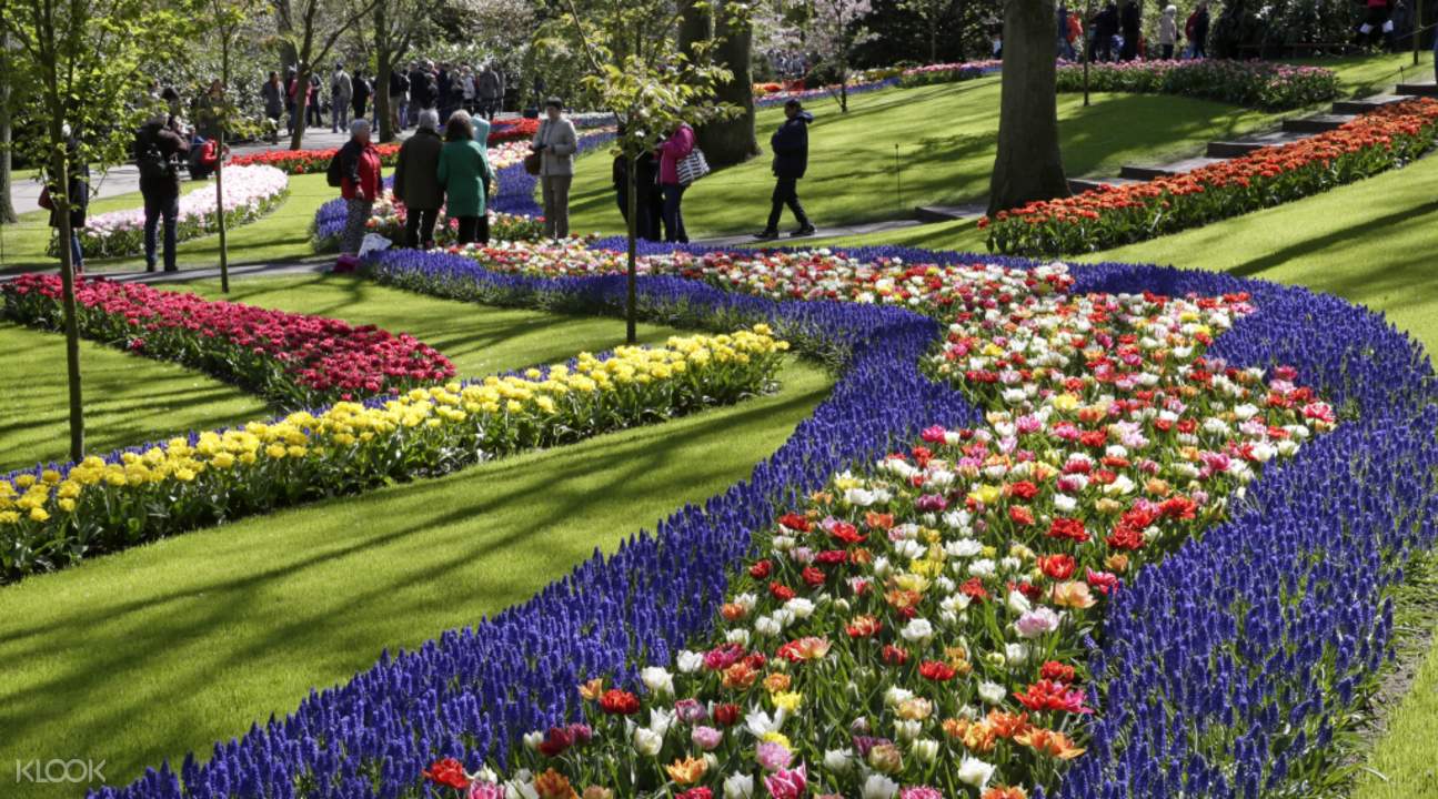 tours of keukenhof gardens from amsterdam