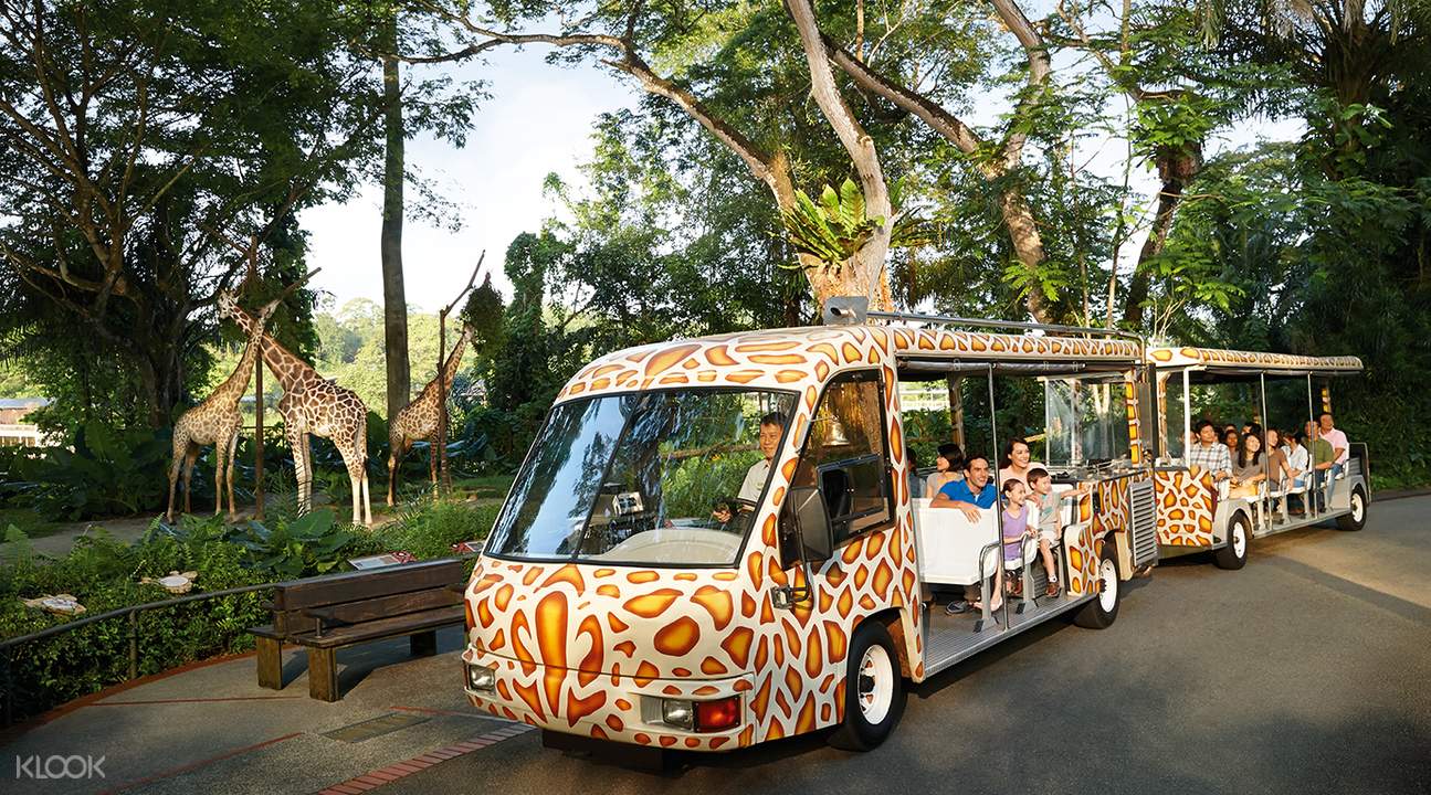 Buy Singapore Zoo Tickets Online World Famous Open Concept Zoo
