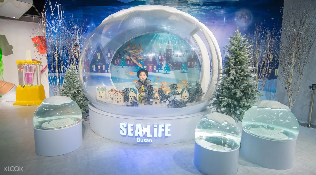   潮池海洋生物體驗區