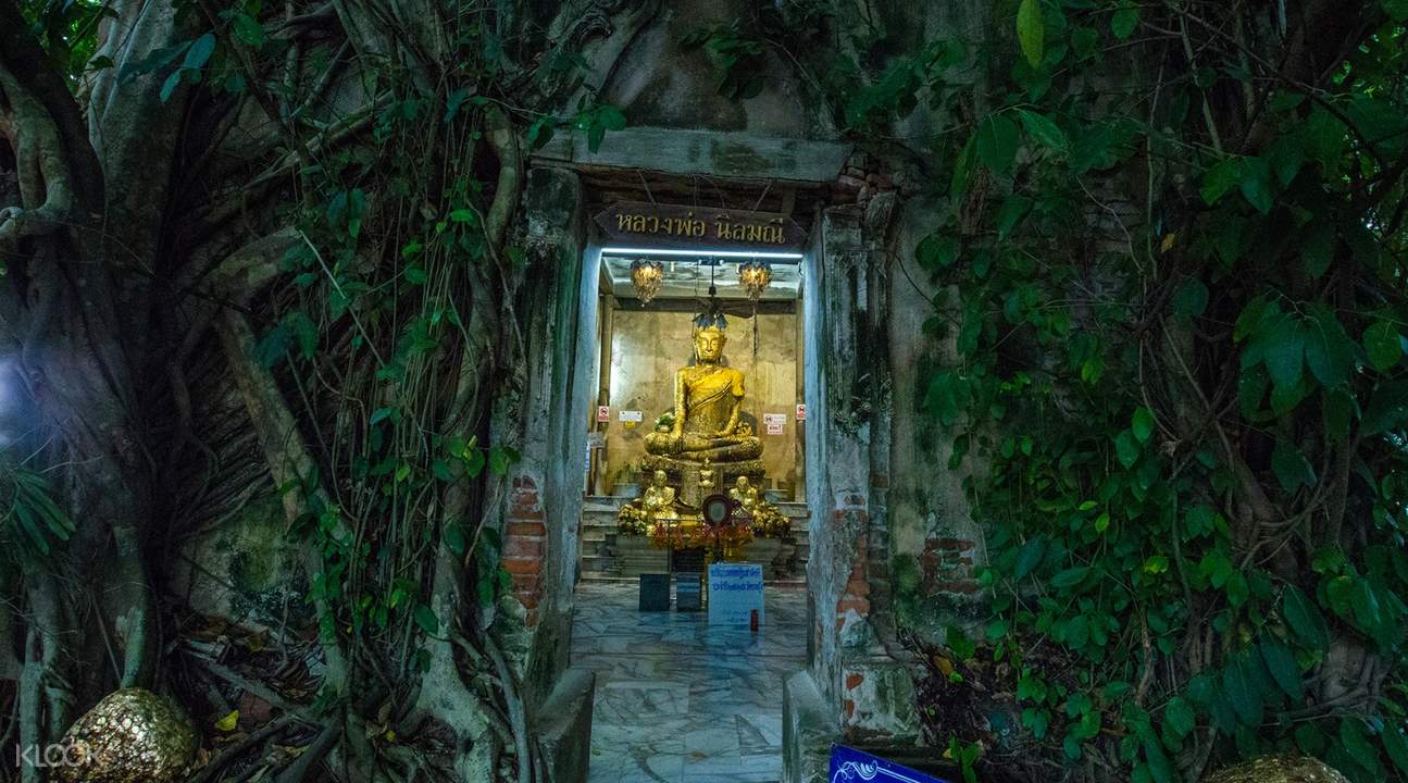 樹中廟
