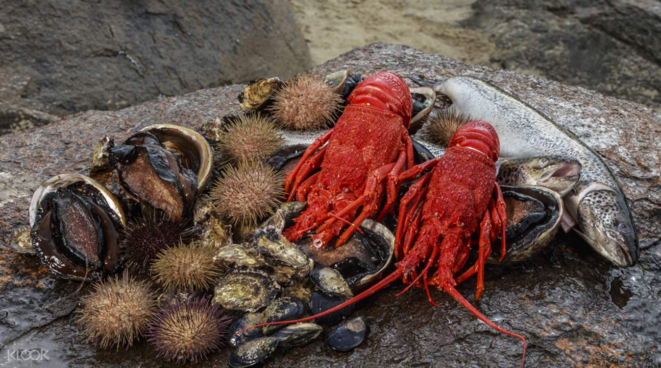 Tasmania Seafood Seduction Cruise Tour - Klook