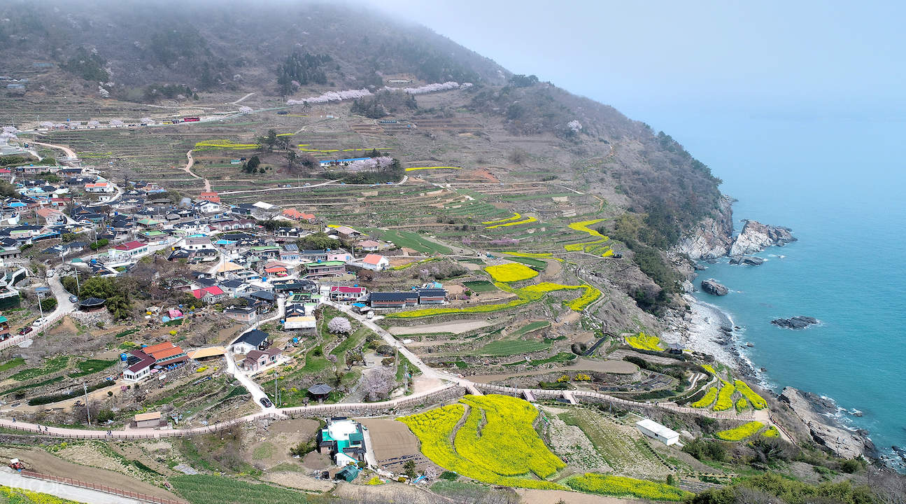 Namhae County Day Tour from Busan - Klook