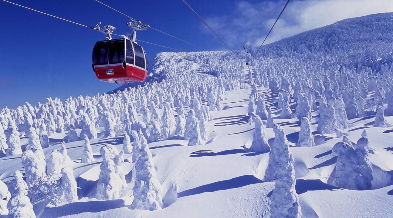 日本 仙台機場 藏王溫泉滑雪場巴士票(單程) KLOOK客路 台灣 日本 仙台機場 藏王溫泉滑雪場巴士票(單程) KLOOK客路 台灣