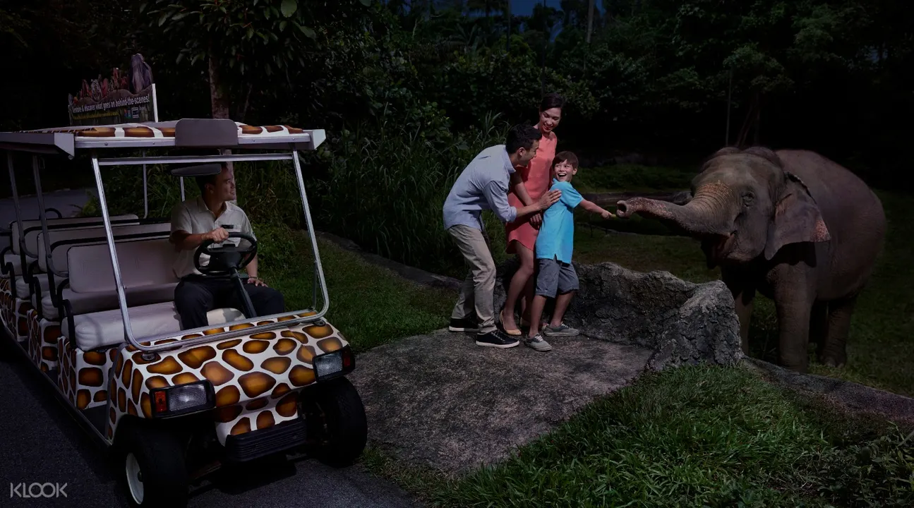 Night Safari Admission Ticket And Multi Language Tram Combo