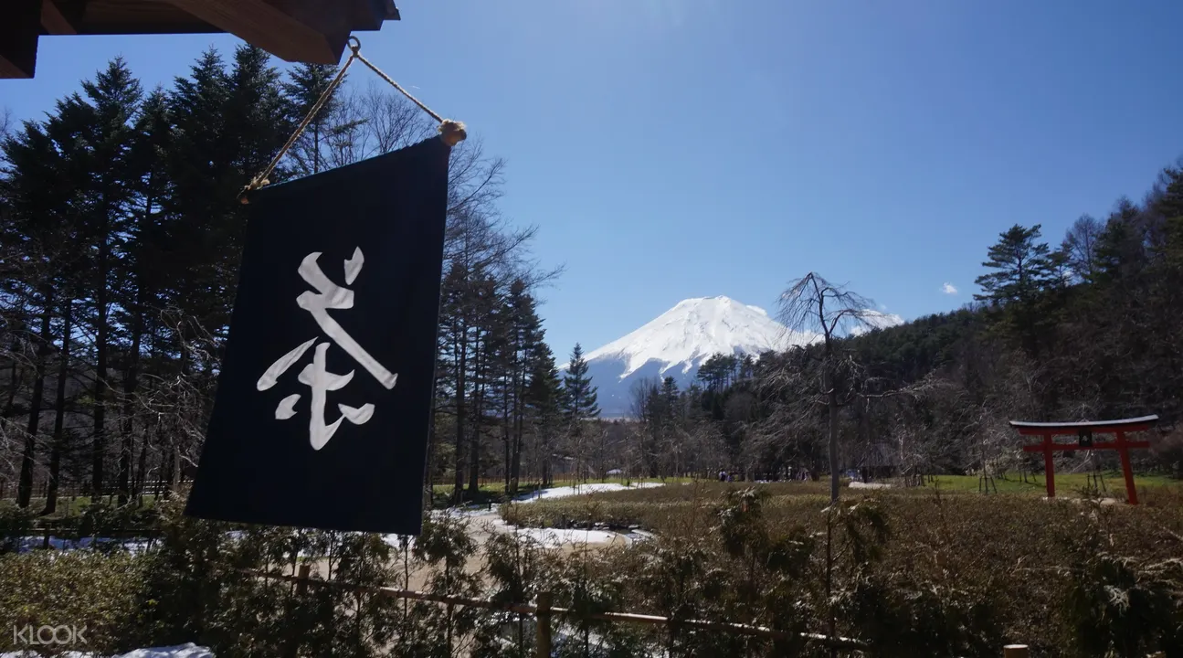 東京富士風情一日遊（河口湖、忍野八海、富士山五合目）