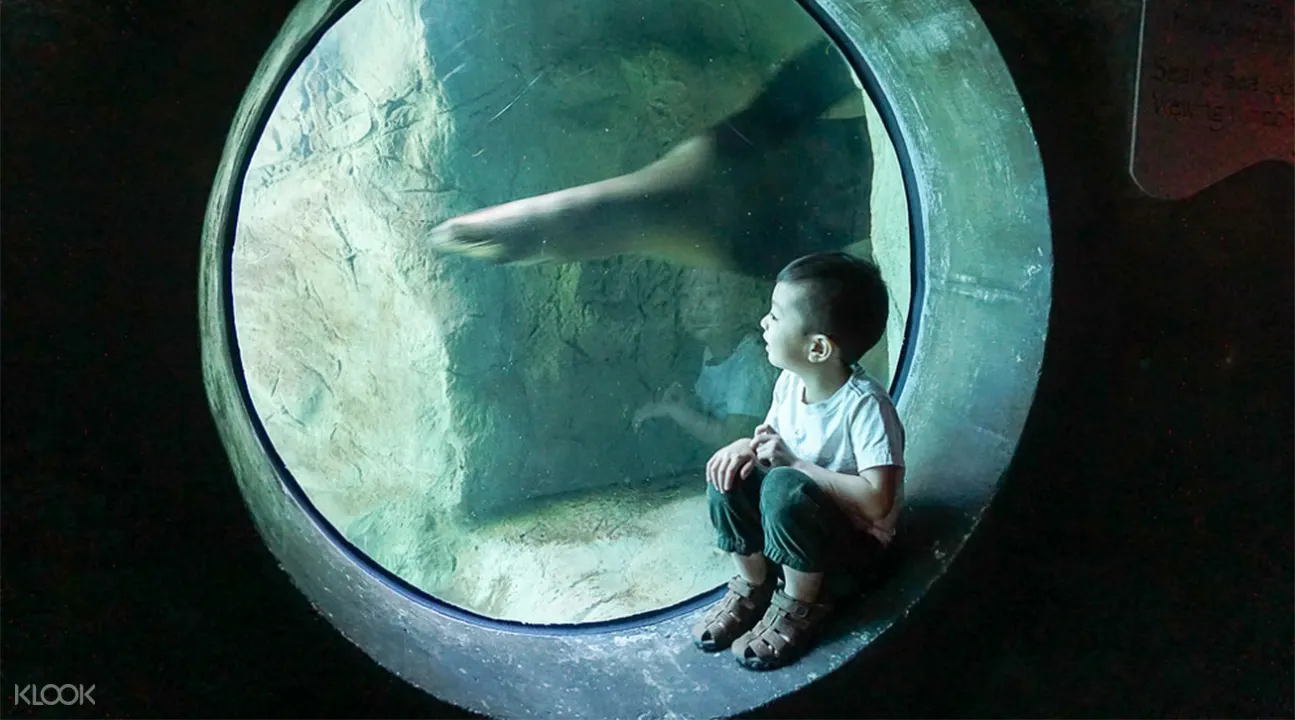 太平洋水族館門票