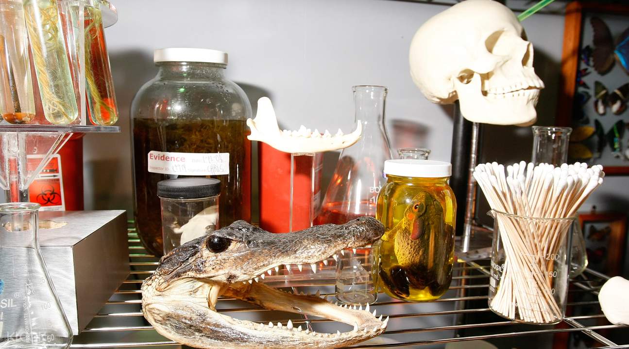 CSI: The Experience Las Vegas Ticket Las Vegas , USA