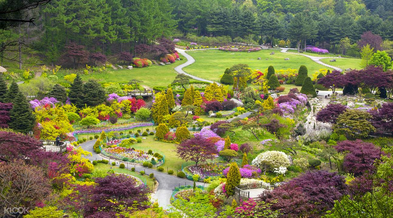 Nami Island Garden Of Morning Calm And Gangchon Rail Bike Day Trip With Halal Lunch Available Klook Us