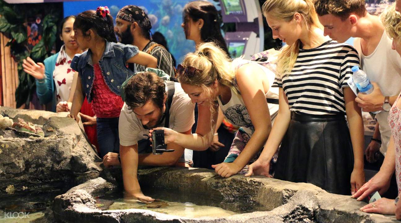 Aquaria KLCC Tour