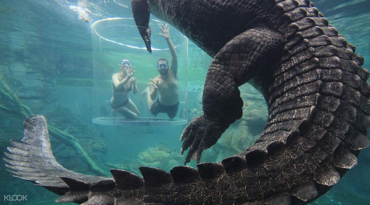 crocosaurus cove discount