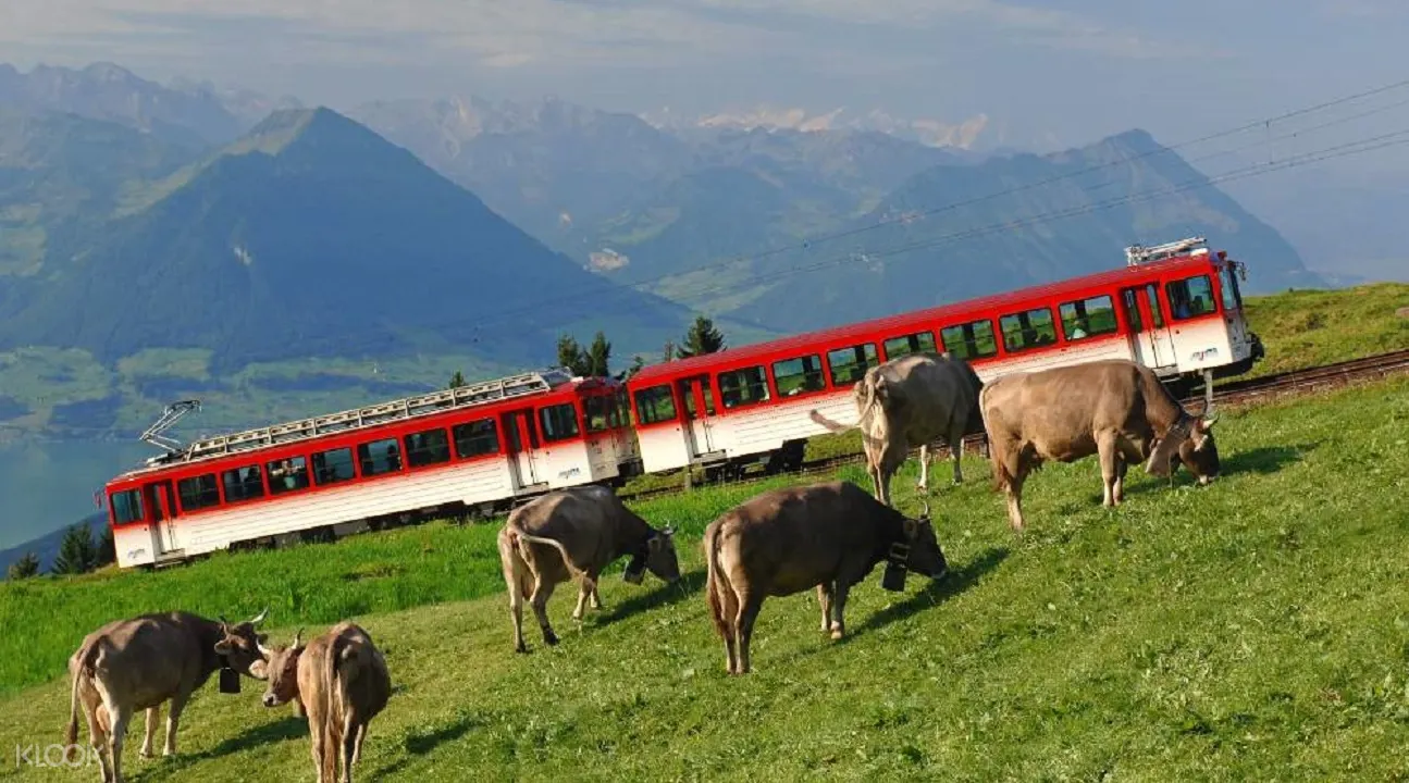 rigi queen of the mountains tour zurich departure klook india