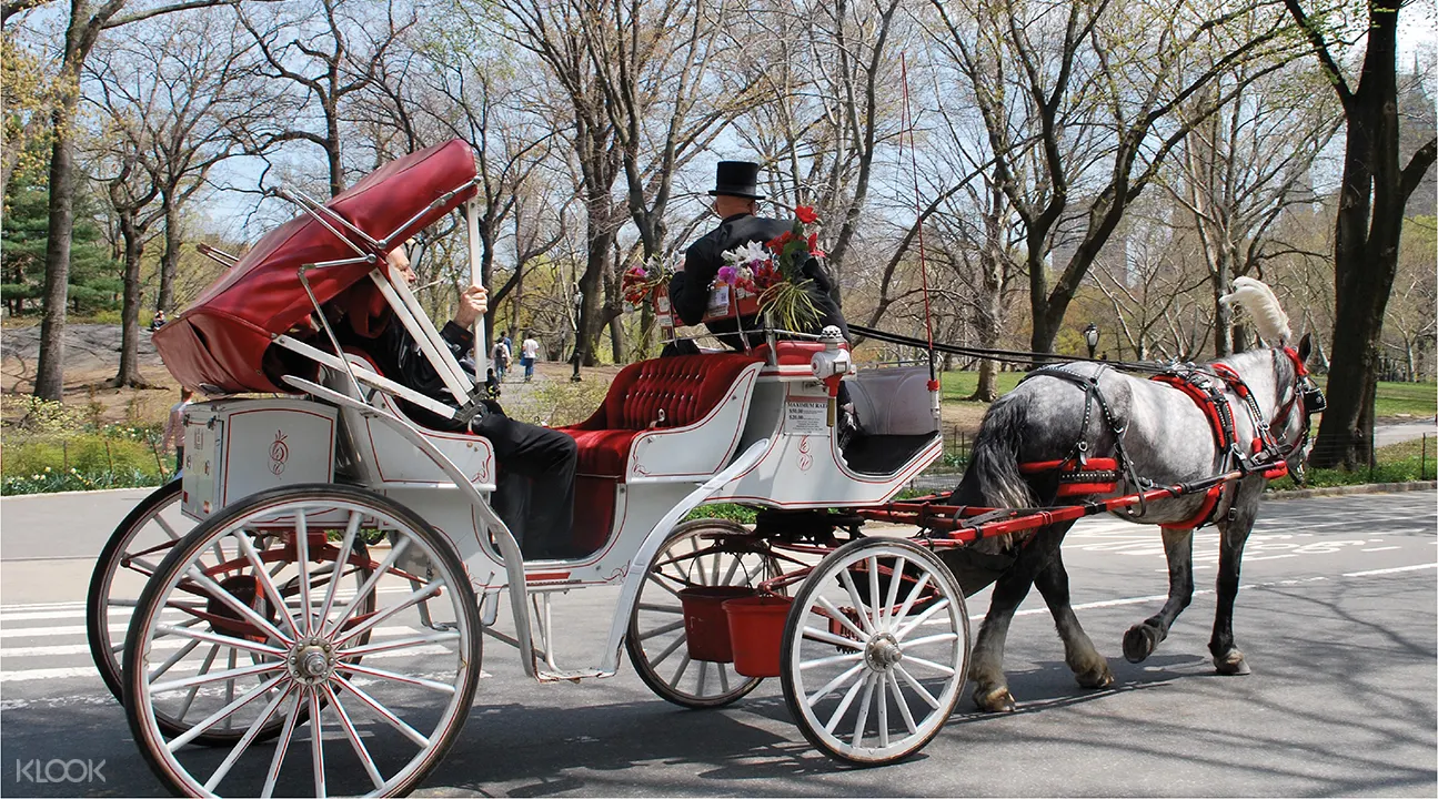 central park horse and carriage tours