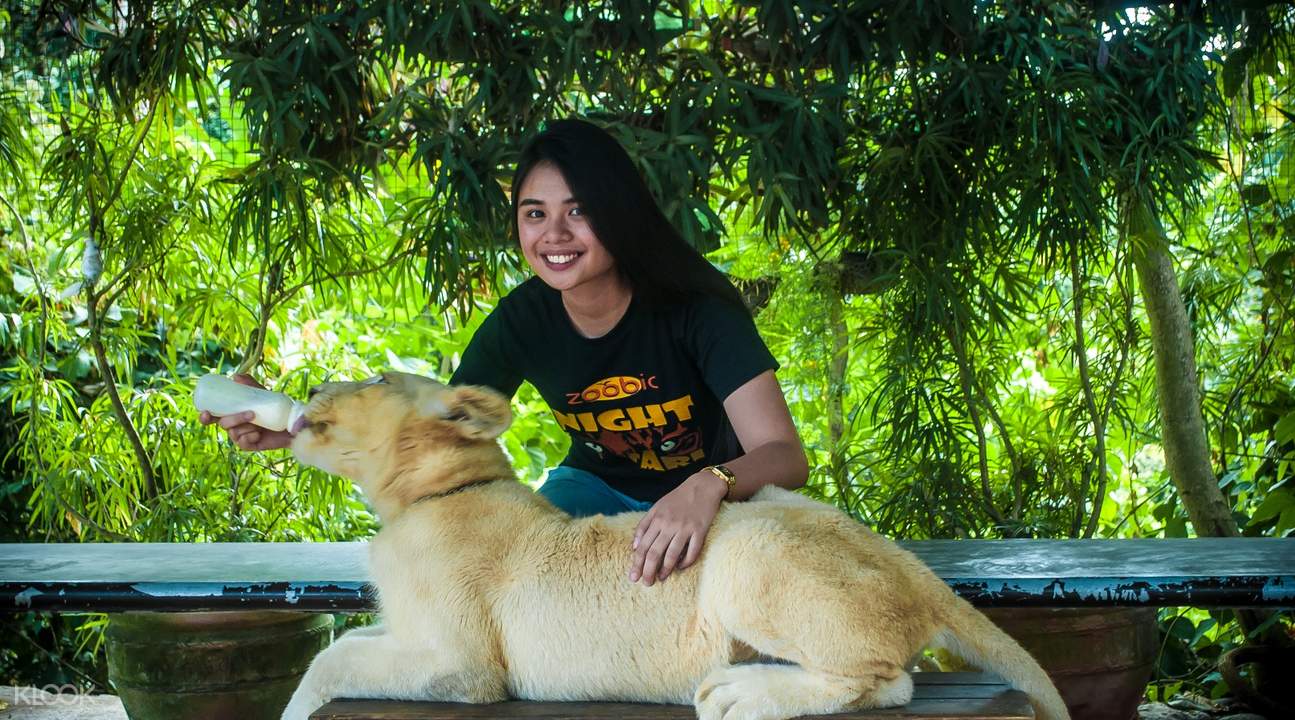 sale-explore-zoocolate-thrills-bohol-s-unique-zoo-adventure-ticket-kd