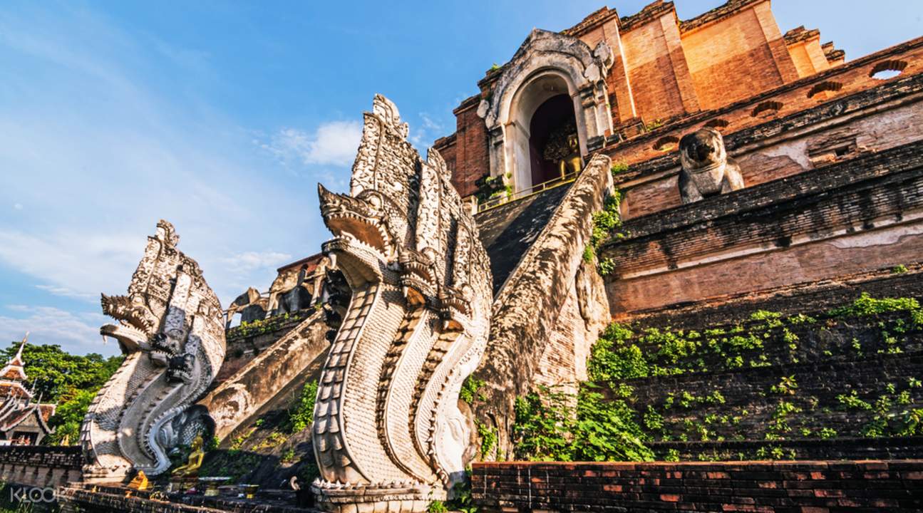 Chiang Mai City & Temples Day Tour by Tour East