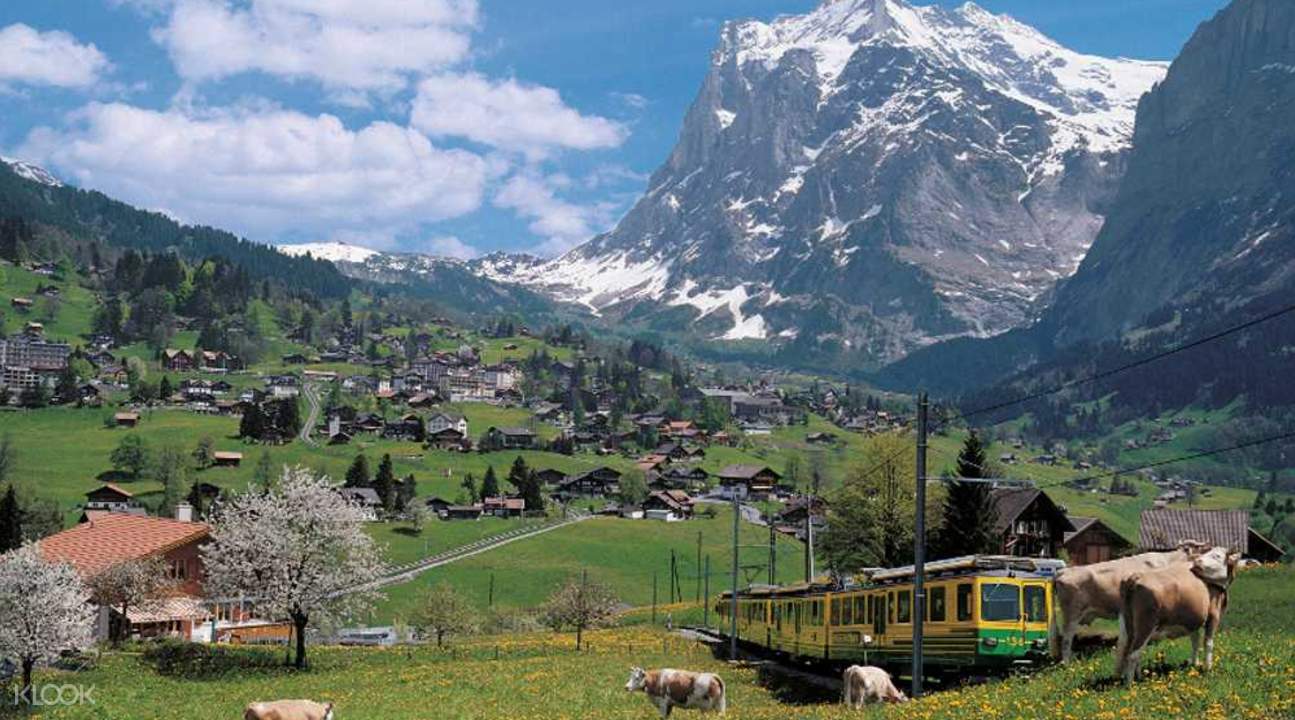Day Trip to Grindelwald and Interlaken (Zurich Departure) Klook